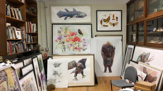 The Watercolor Artist Whose Paintings Help Save Rainforests